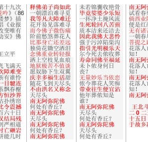王北斗第十九次依《葬花吟》（86版《红楼梦》插曲》编唱《业报熟时难改变》