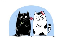 黑白猫.jpg
