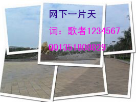 网下一片天副本.jpg
