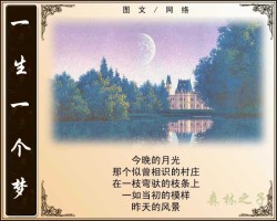 独守一个梦.jpg