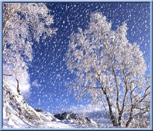 20110125_ddfd8c06-1e66-4e99-89ef-32be4e557a5c[1].gif