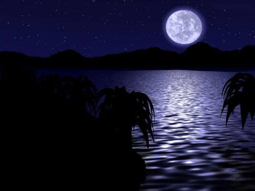 20120918233805692.jpg