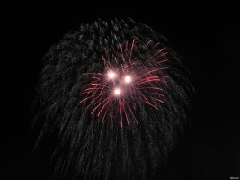 200(14).jpg