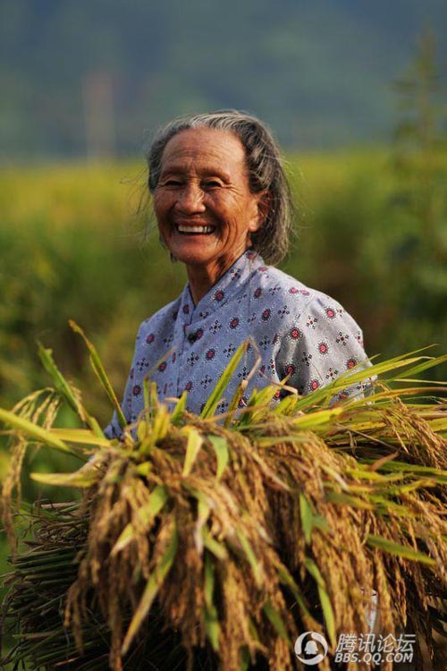 婆婆就是妈