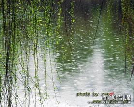 春雨沙沙.jpg