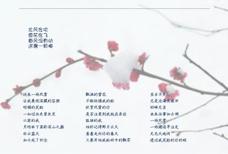 一剪梅图.JPG