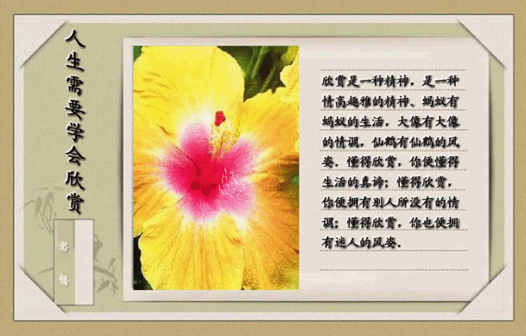 欣赏5.jpg