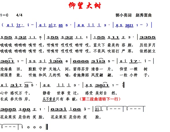 3056仰望大树1.jpg