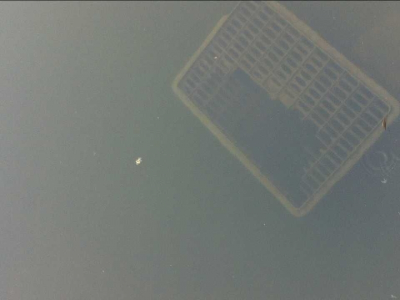 QQ图片20150926104026.jpg