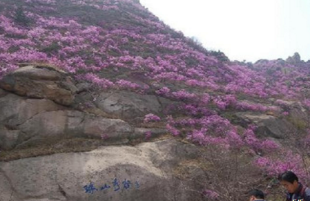 QQ图片20160322190400.png