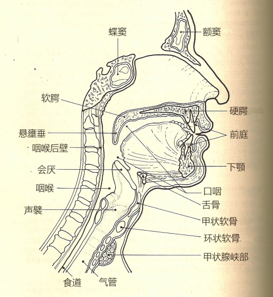 diagram.jpg