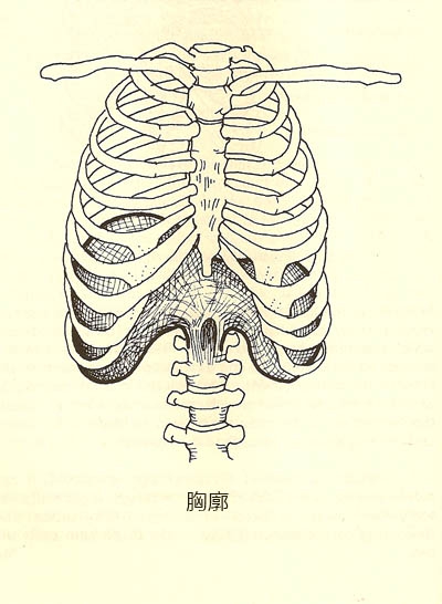 diagram2.jpg