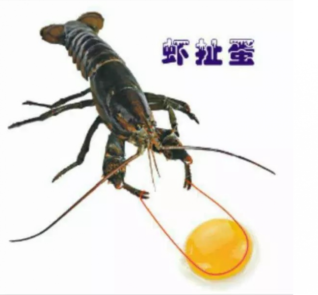 无标题.png