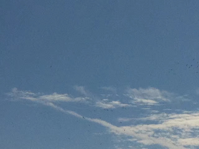 314382860713673056.jpg