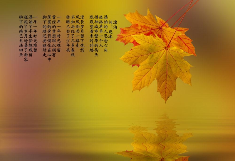 8063-12021310324778.jpg
