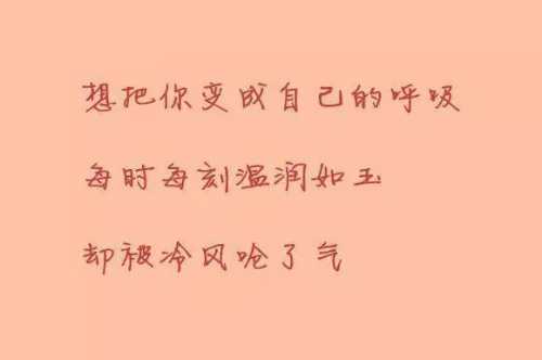 ab560e19aa36783295a742ef13ffc9.JPEG