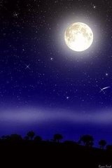 t01c78bcc4a5c57bf0b.jpg