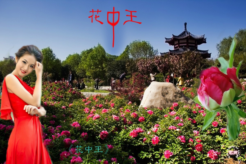 花中王图userid286157time20150416075414_meitu_1.jpg