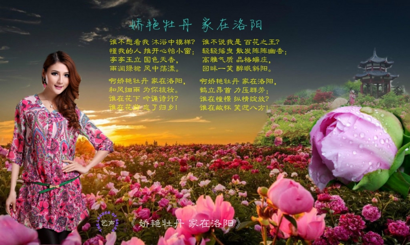 雨中牡丹图片56aff1d206ce11e6839800163e00254c_meitu_1.jpg