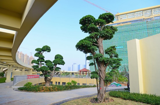 国壮医院内景.jpg