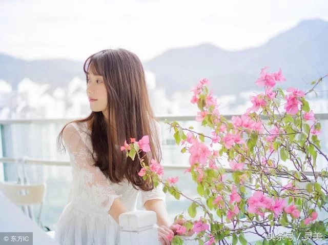 t019e92651ef752b331.webp.jpg