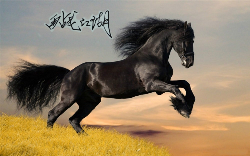 再战江湖图108_meitu_2.jpg