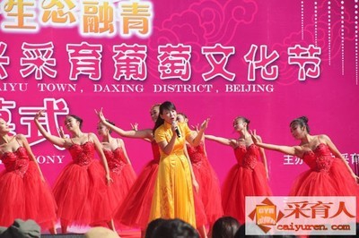 t01e0a3cf361fcc9415.jpg