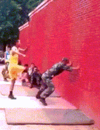 t01deb9fc950b61d17f.gif