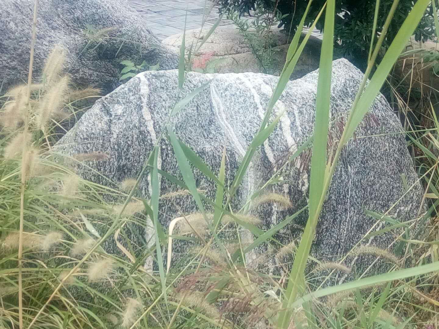 741674399677003673.jpg