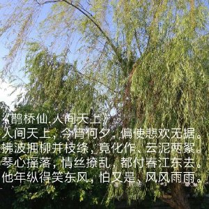 006Xmm1Oly1fulyc3zky6j30qo0zknee.jpg