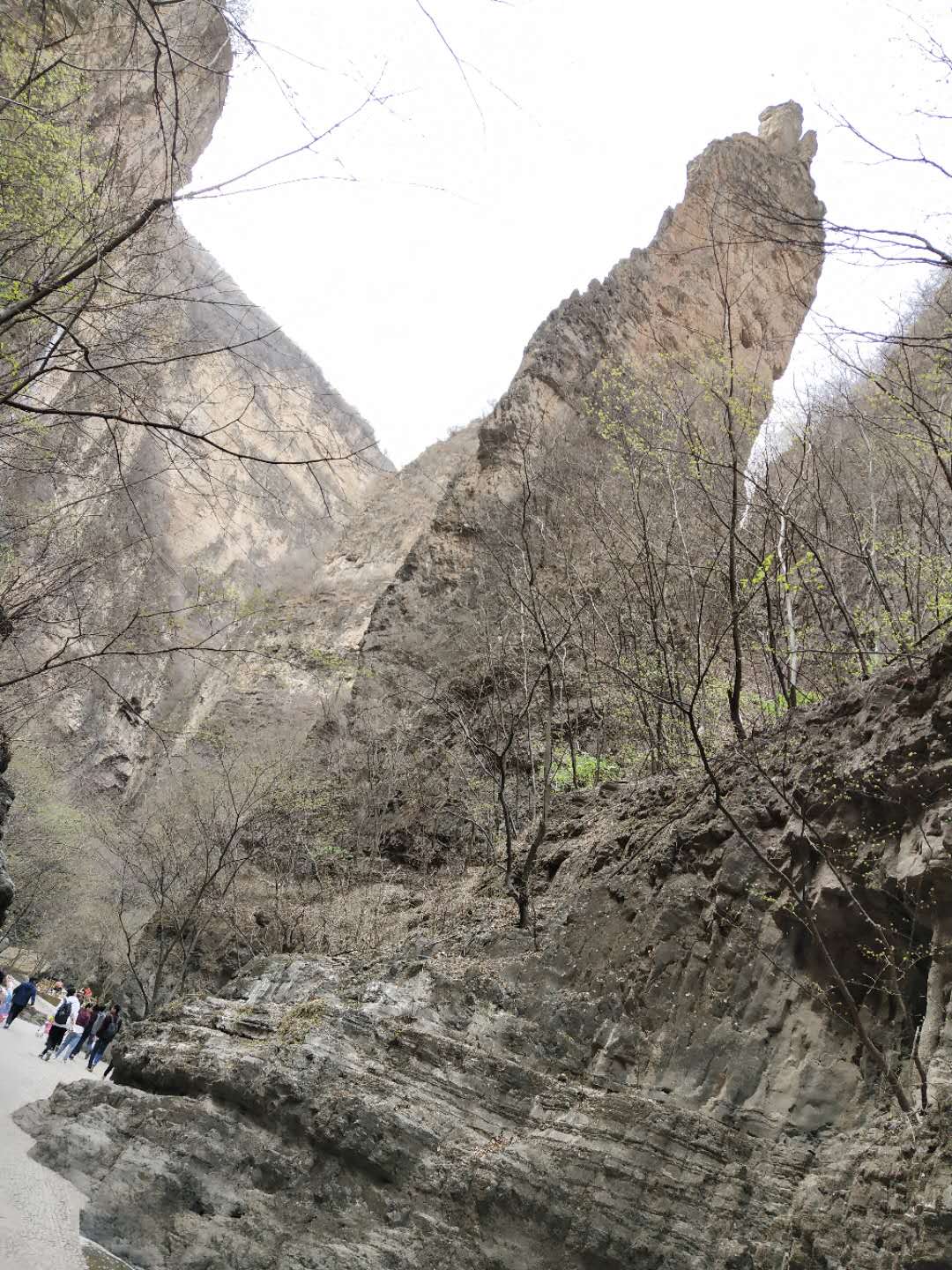 微信图片_20190414021314.jpg