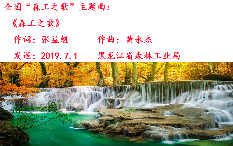 森工之歌7.5.jpg