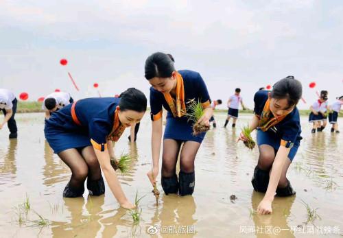 QQ图片20200608082701.jpg