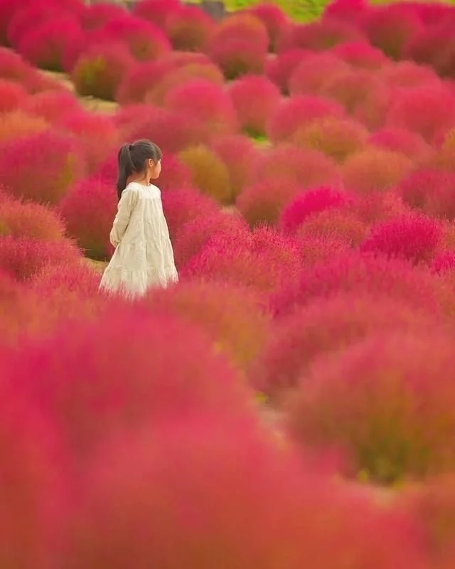 t01ce30c20a3cc62bfb.webp.jpg