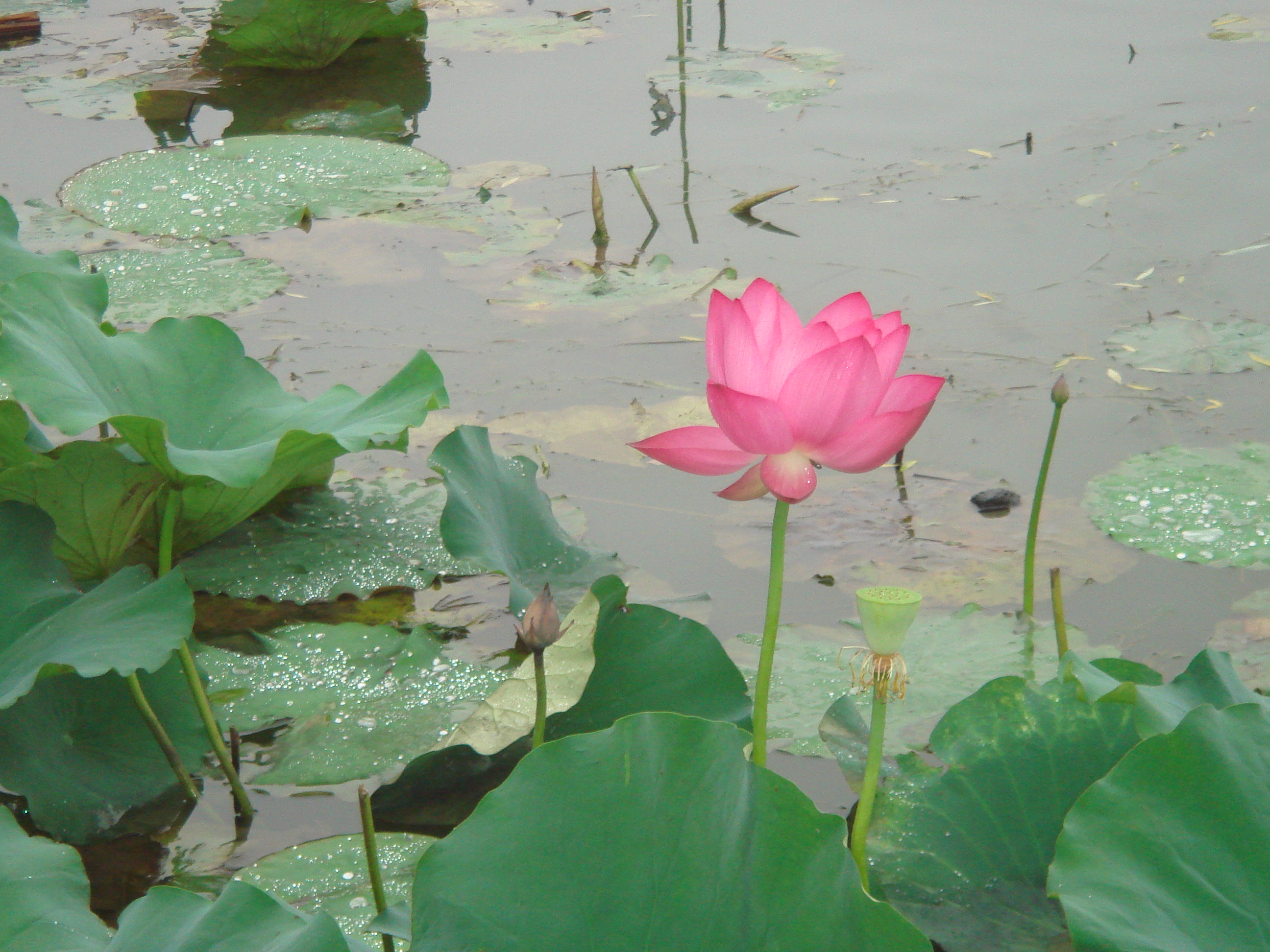 DSC08020.JPG