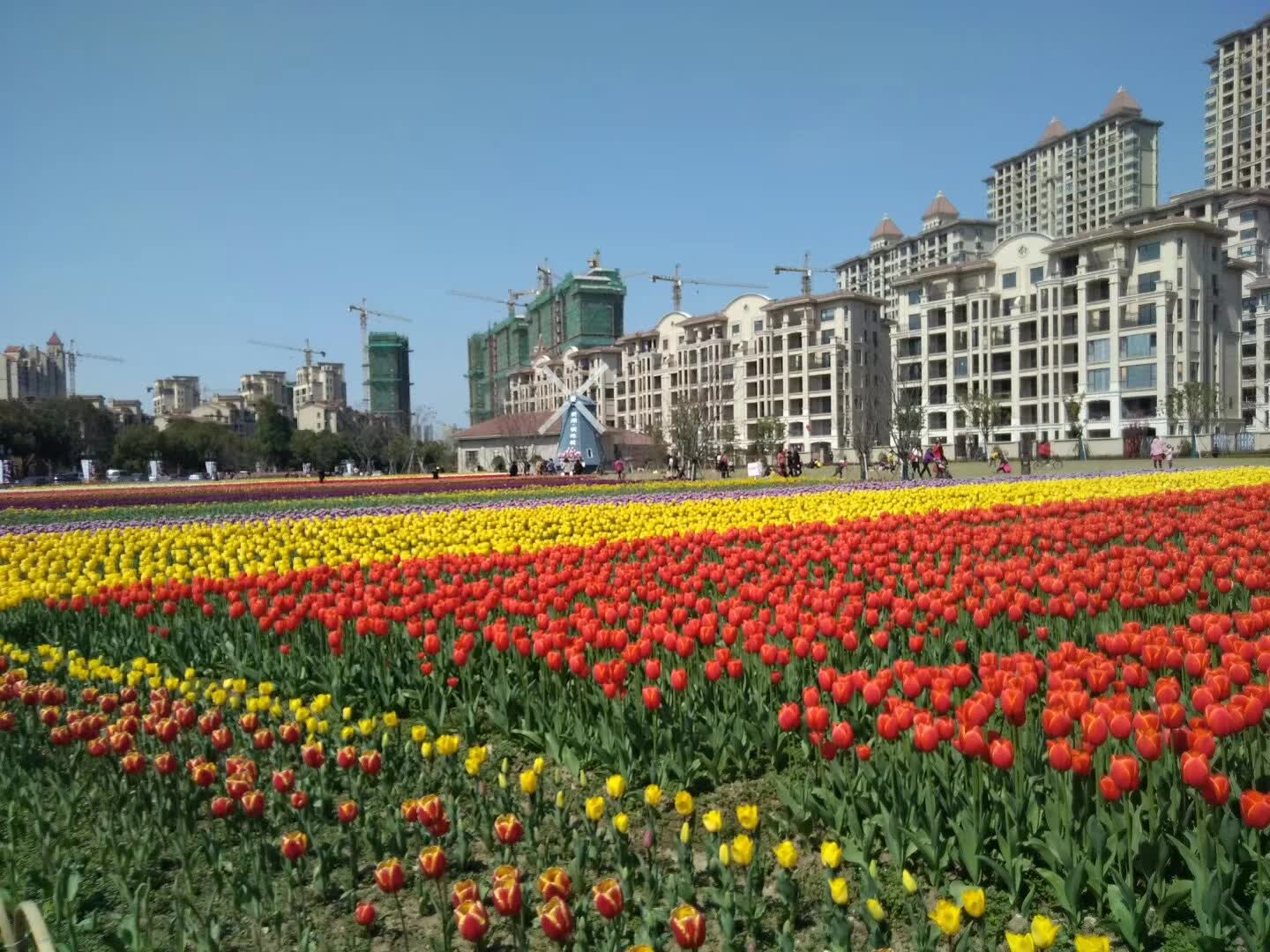 微信图片_20200403122920.jpg