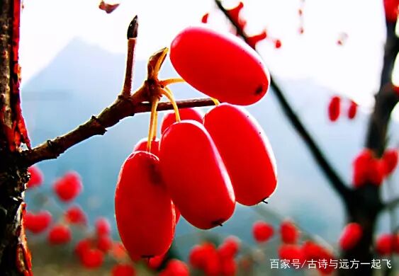 QQ图片20211016210311.jpg