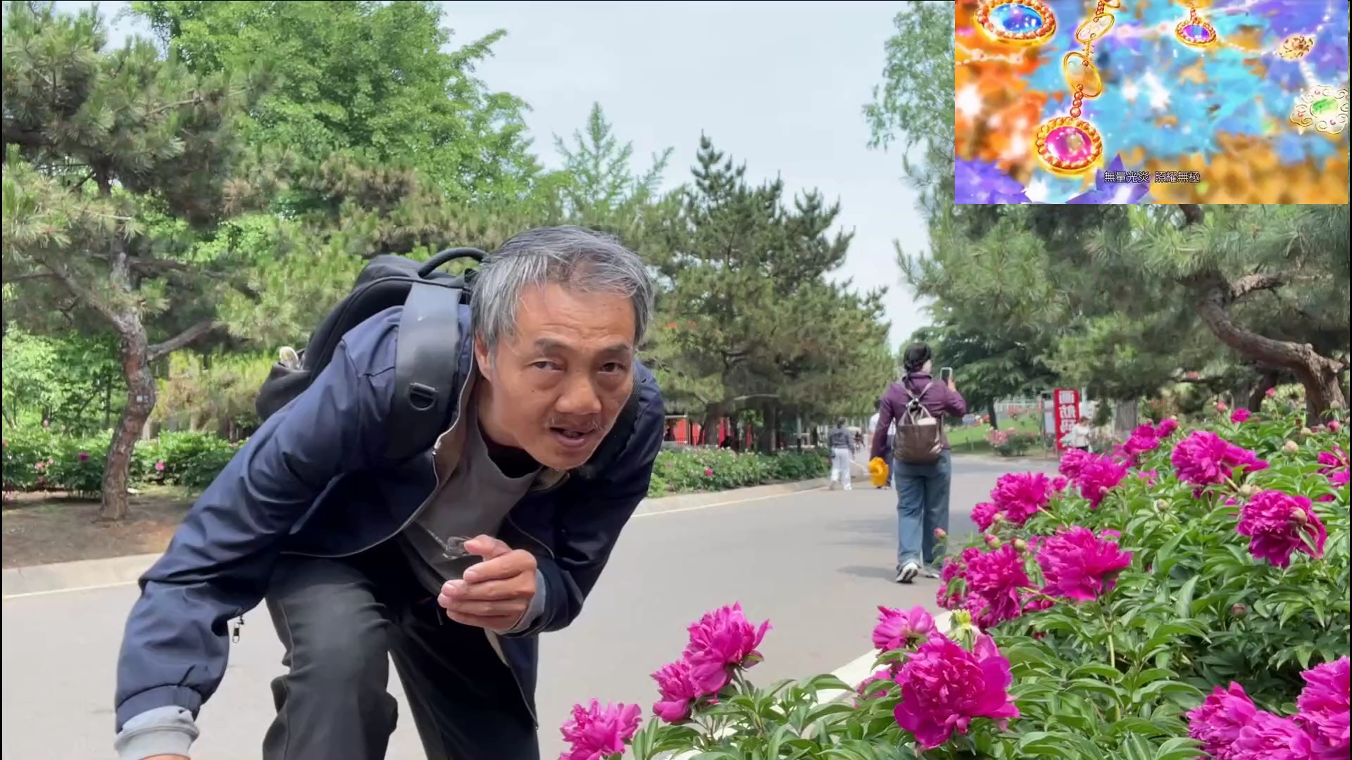 极乐合并陪妻植物园睛霁歌[00_00_42][20250528-203431].png