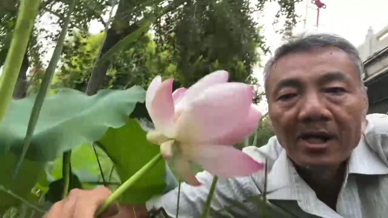 乡[00_00_02][20250720-014741].jpg