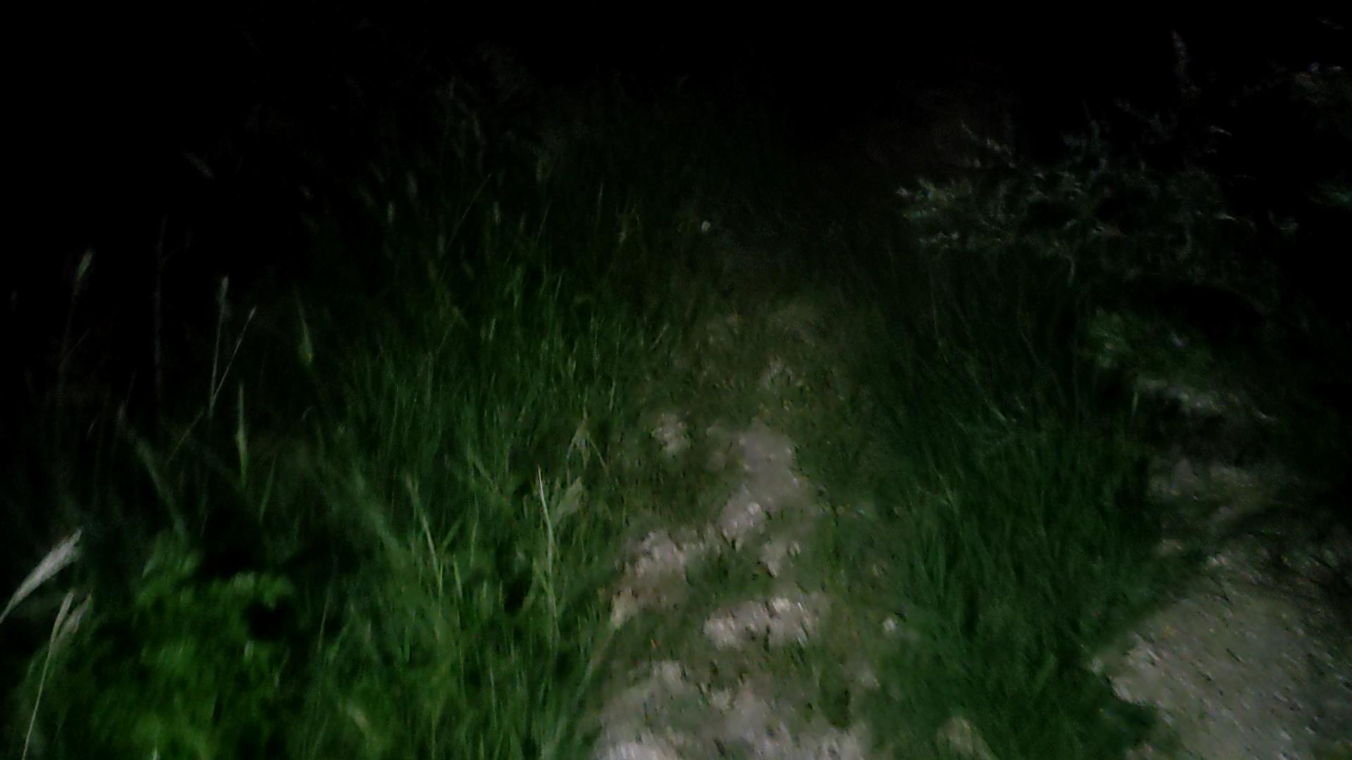 VID20250806202503[00_00_05][20250808-105551].jpg