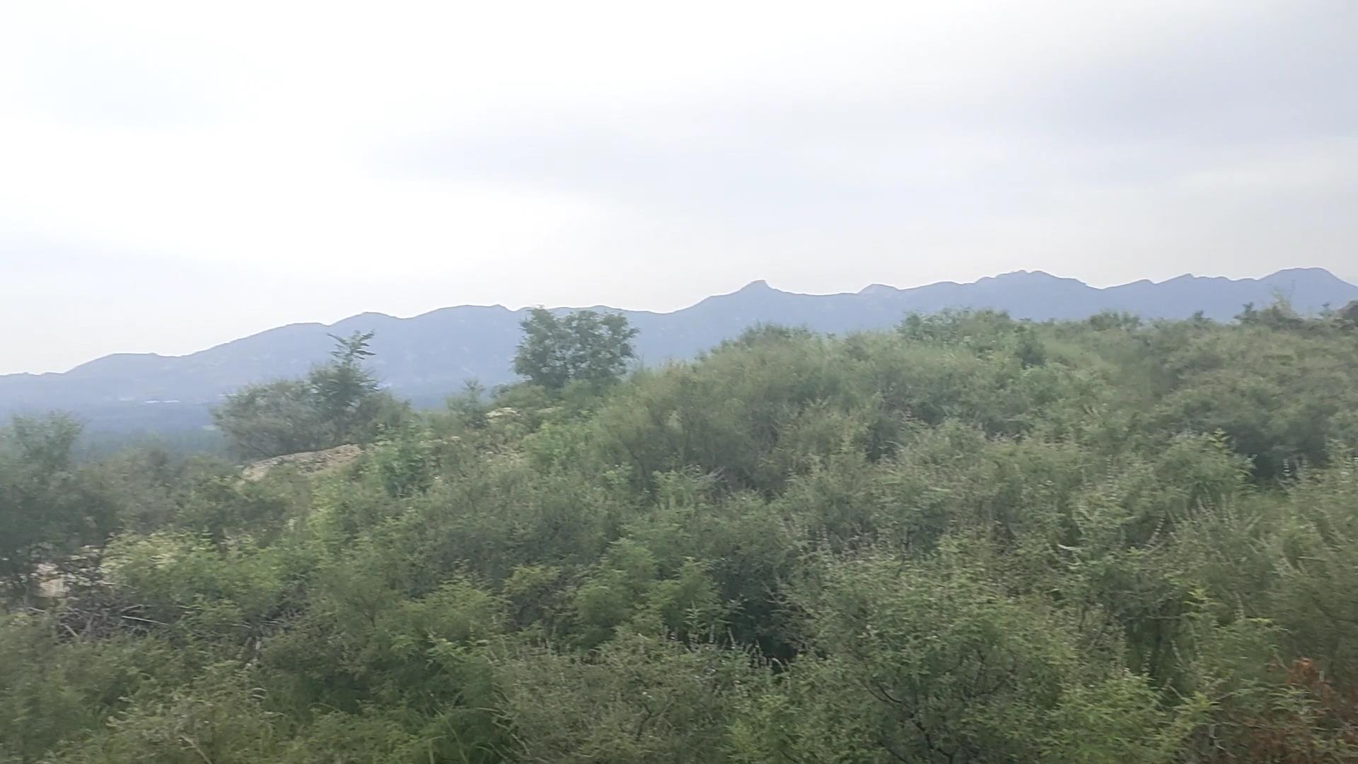 VID20250807090455[00_00_01][20250808-105701].jpg
