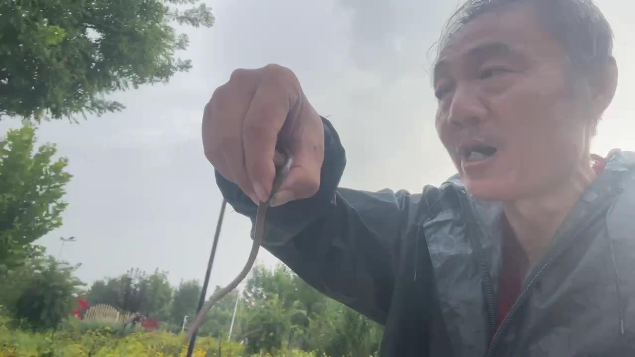 蚯蚓[00_00_03][20250820-132421].jpg