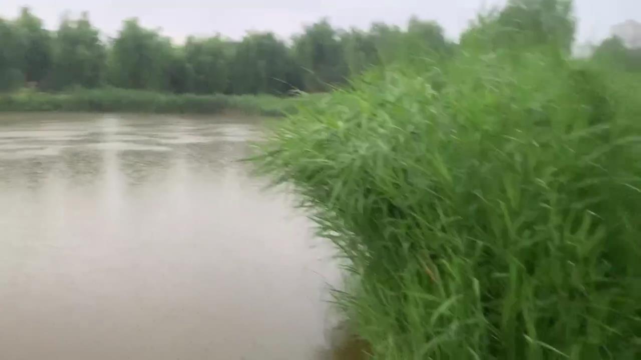 83b82f7af0135035bebd[20260606-090013].jpg