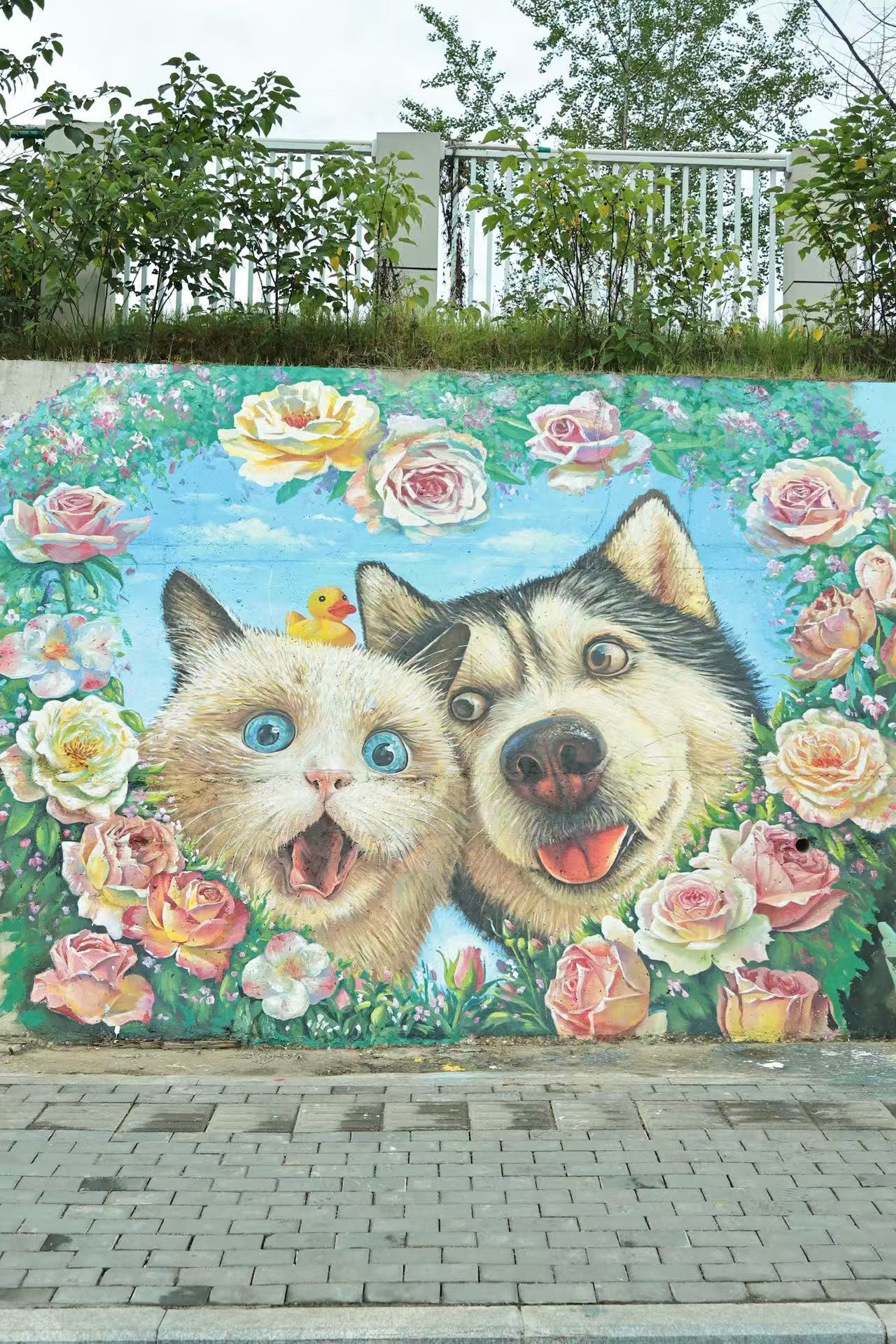 微信图片_20260608093137_9_117.jpg